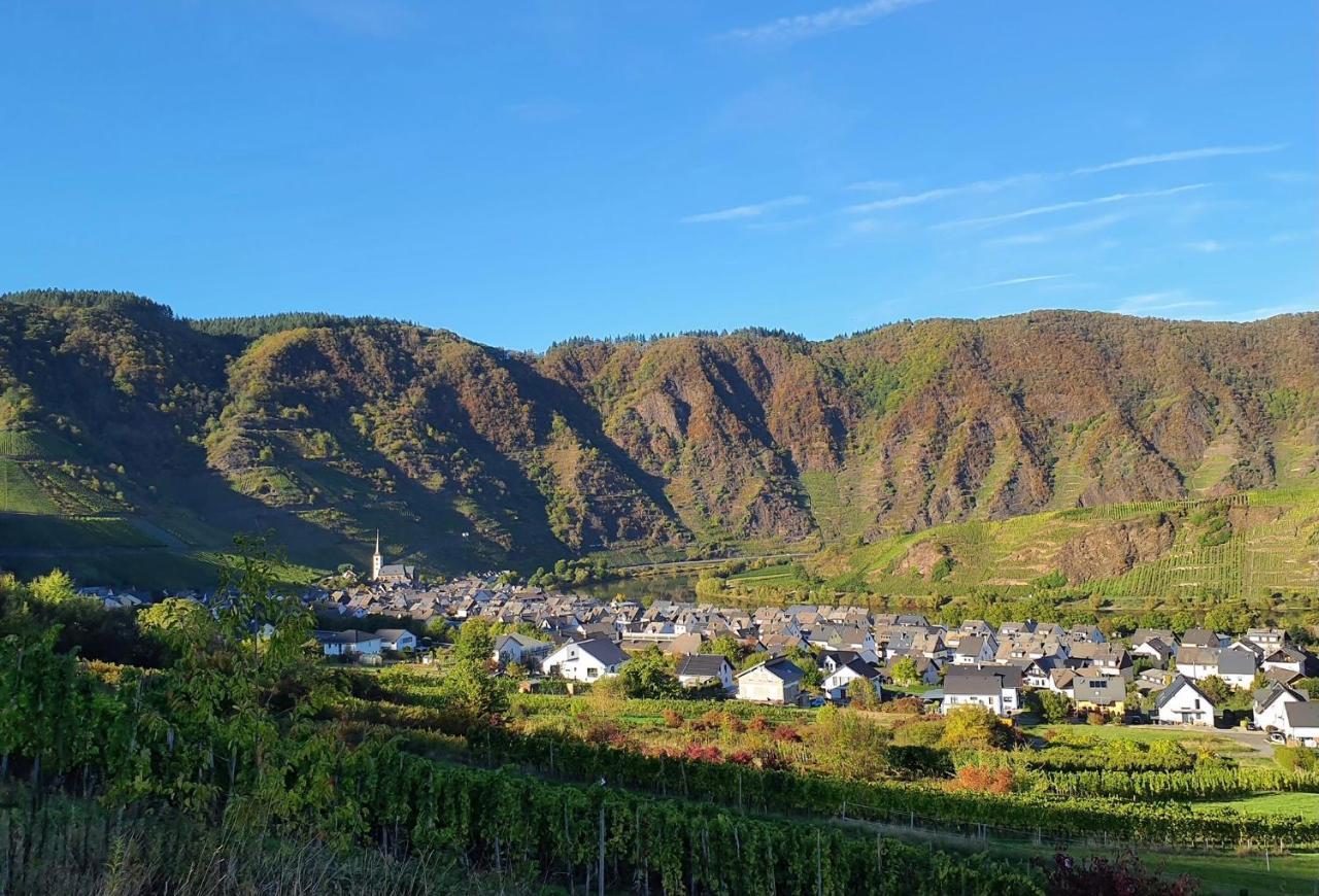Attraktive Wohnung-Elztalidyll-Zwischen Mosel,Nuerburgring Und Burg Eltz Kollig Eksteriør billede